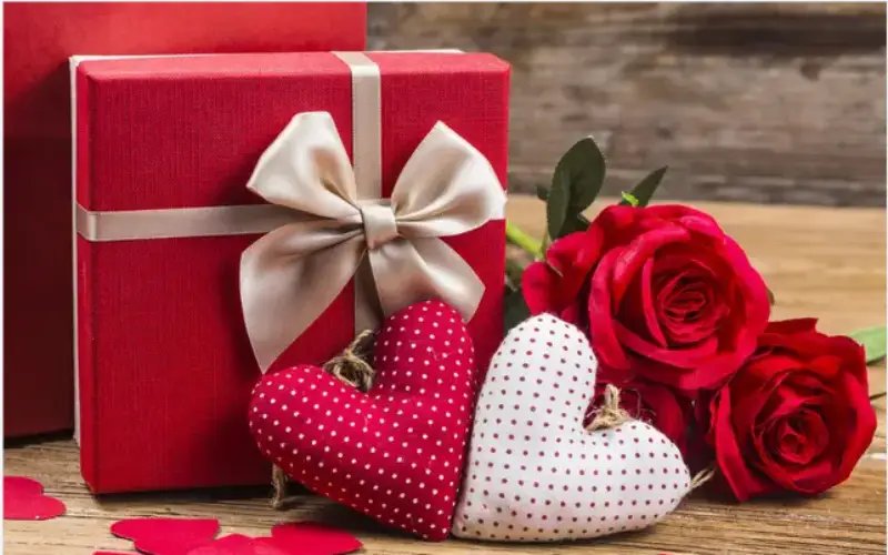 Surprise Gift Surprise Gift